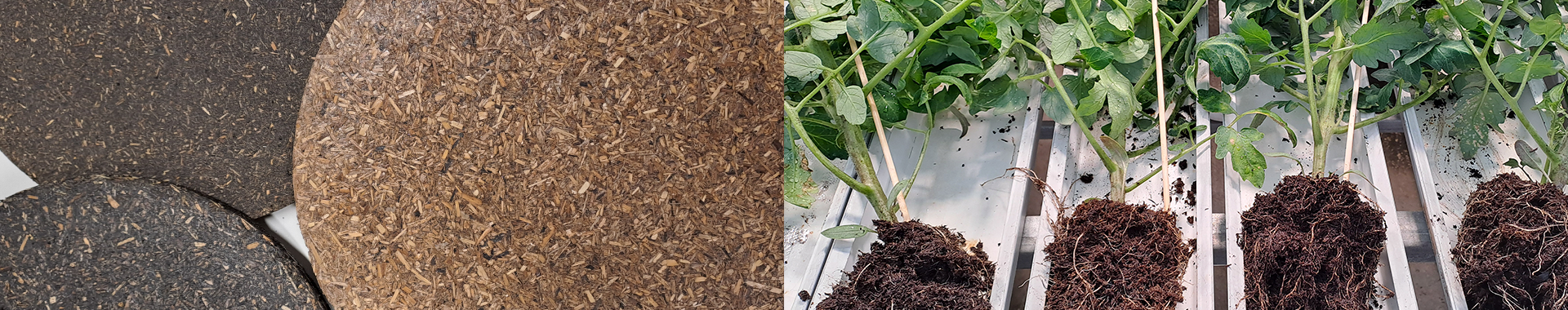 Tapahtuman oletuskuva