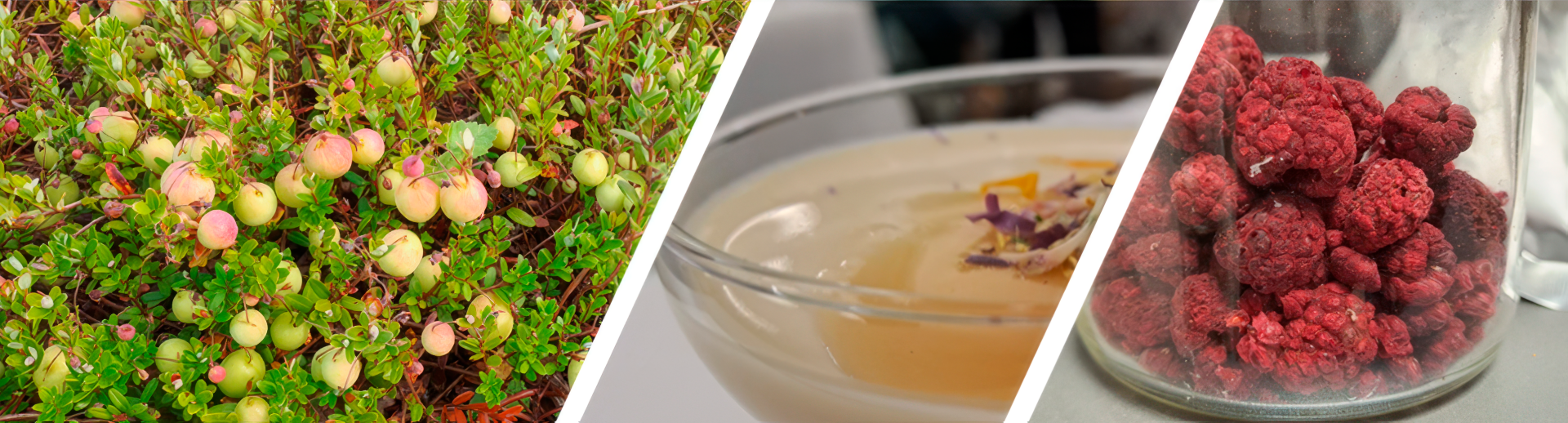 Tapahtuman oletuskuva