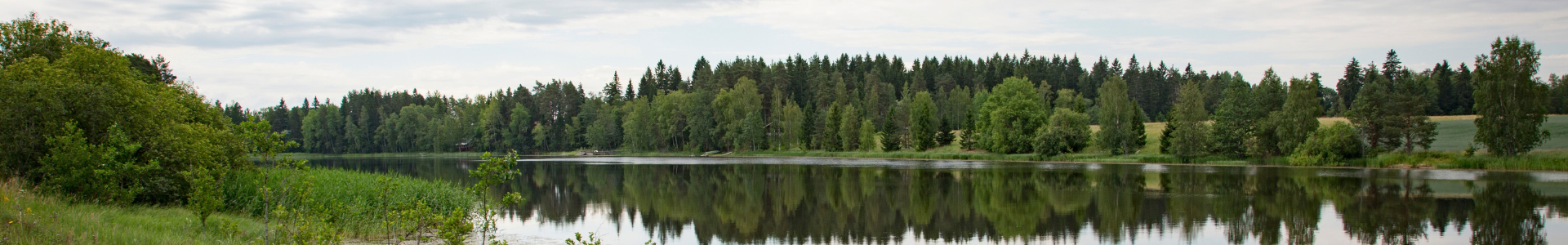 Maaseutumaisema veden äärellä. Kuva: Jari Heikkilä.
